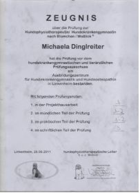 Zeugnis 001.jpg